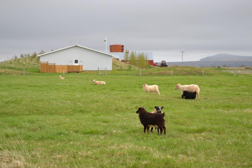 Lambastadir Guesthouse Selfoss Ngoại thất bức ảnh